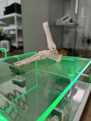 INTEGRO Pogotowie Podologiczne